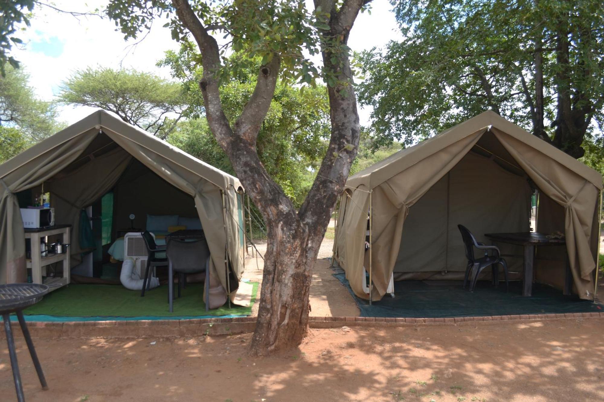 Yebo Safari Tents-Stay Inside Kruger Skukuza Eksteriør billede